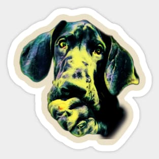 Great dane sticker Sticker